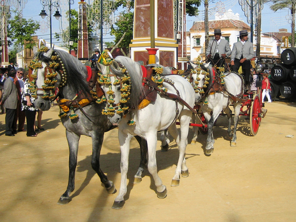 Feria del Caballo (Pferdefest) in Jerez (Andalusien/Spanien)